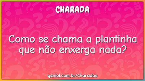 Como se chama a plantinha que não enxerga nada? Charada e Resposta