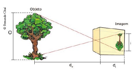 Ilustração Em Vetor De Crianças Estudando Na árvore Crianças