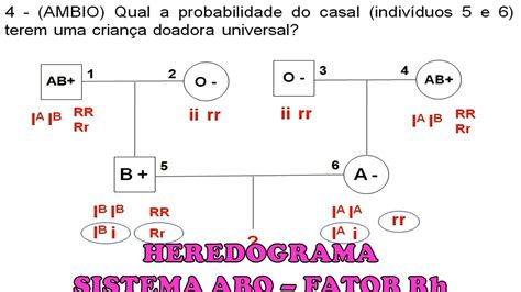 Exercícios Sistema ABO e Fator Rh (sangue) YouTube