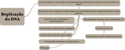 Mapa de conceito Replicação do DNA .img Genética Básica