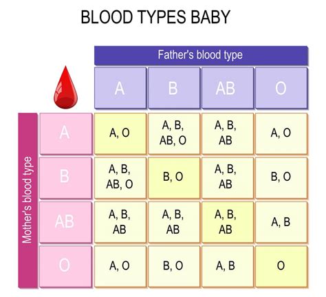 Sistema ABO tabela, tipos sanguíneos, exercícios Brasil Escola
