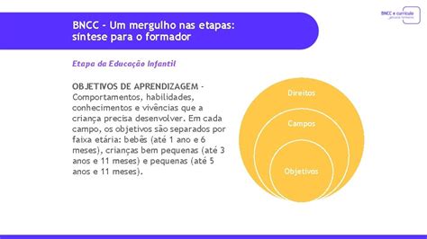 Proposta Da Bncc Para O Ensino Médio Ensino Relacionado