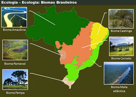 BIOMAS BRASILEIROS em 2020 Bioma brasileiro, Biomas, Bioma