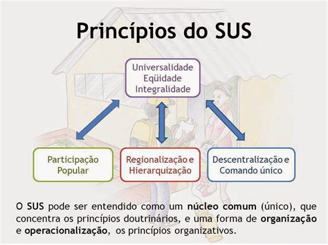 SOU+SUS A Hierarquização no contexto do SUS