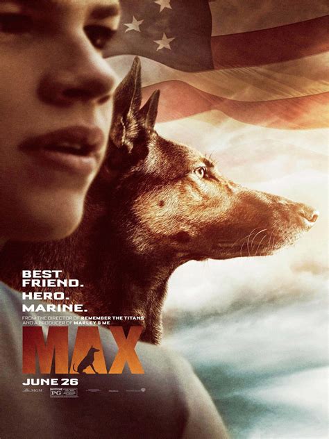 Filme Max O Cão Herói Online Dublado Ano de 2016 Filmes Online