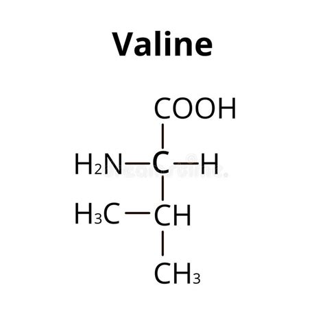 La valina, Val molécula, es aminoácido . Se utiliza en la biosíntesis